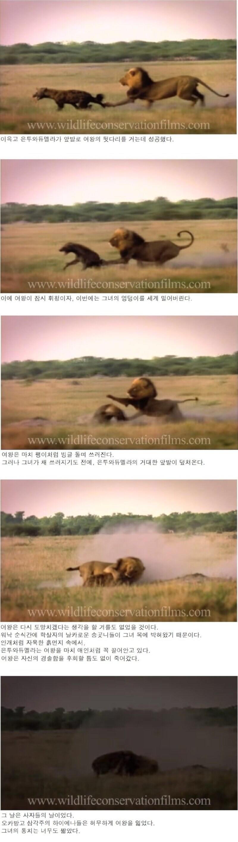 신하들한테 왕권과시하다가 옆나라 왕에게 골로 가버린 여왕_4.jpg