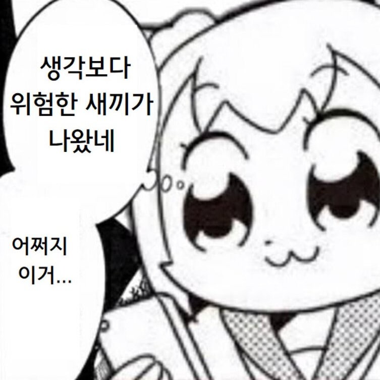 성녀문학)