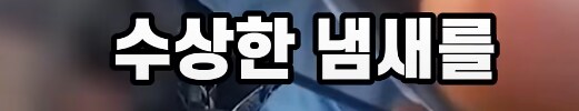 차에서 휴대폰 봤다가 50억 날림_8.png