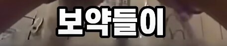 차에서 휴대폰 봤다가 50억 날림_25.png