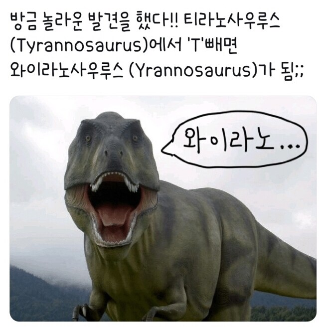 티라노사우루스에서 T를 빼면?_1.jpg