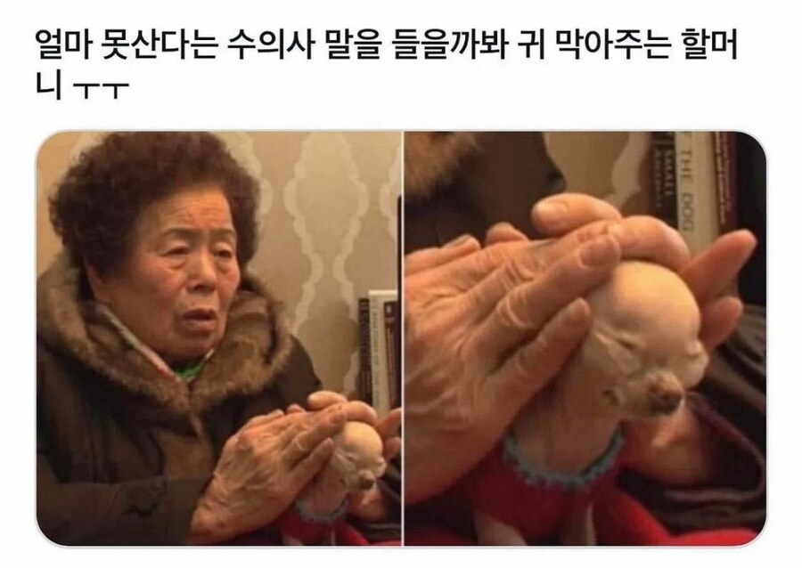 웃픈 짤_1.jpg