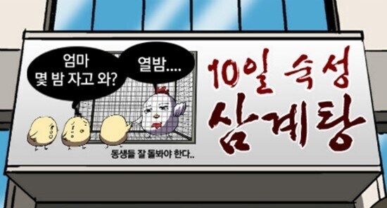 복날 생각나는 닭집간판_1.jpg