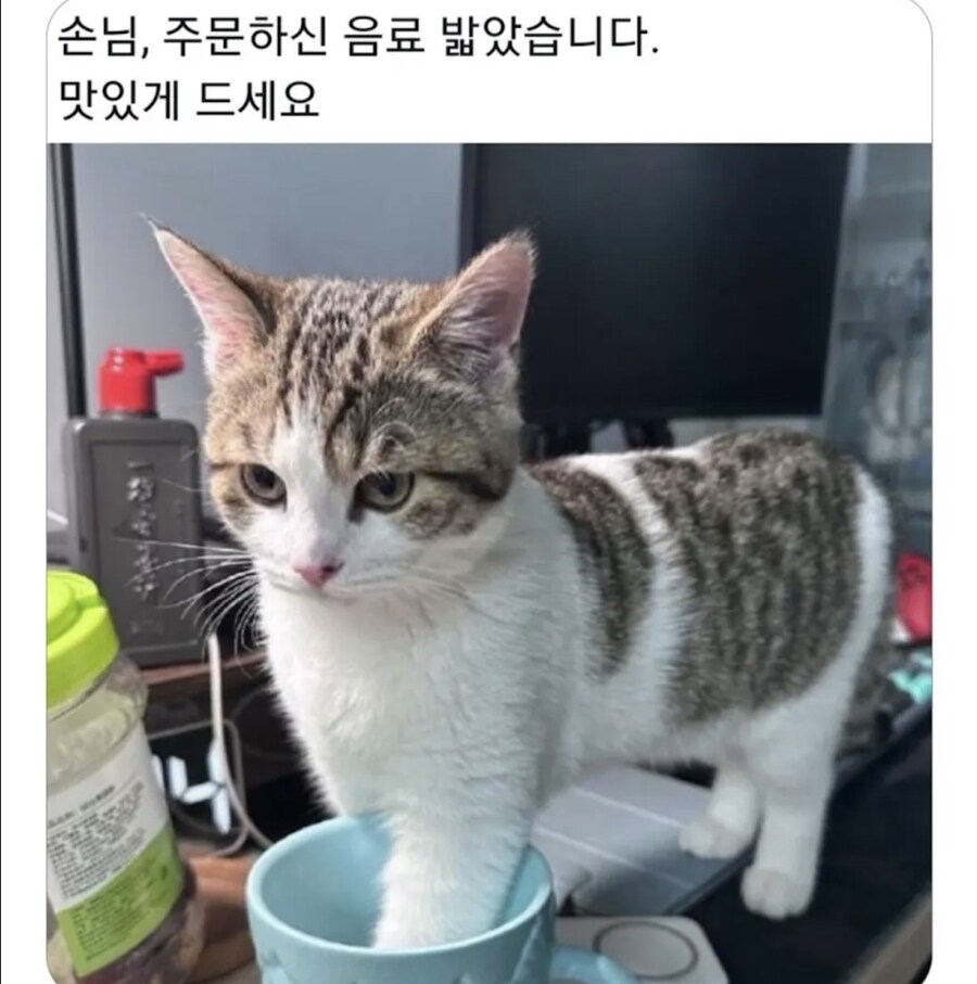 손님, 주문하신 음료_1.jpg