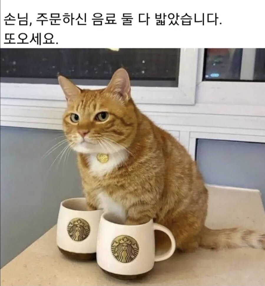 손님, 주문하신 음료_2.jpg