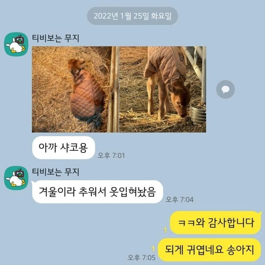 롤하다 도망친 이유_2.webp