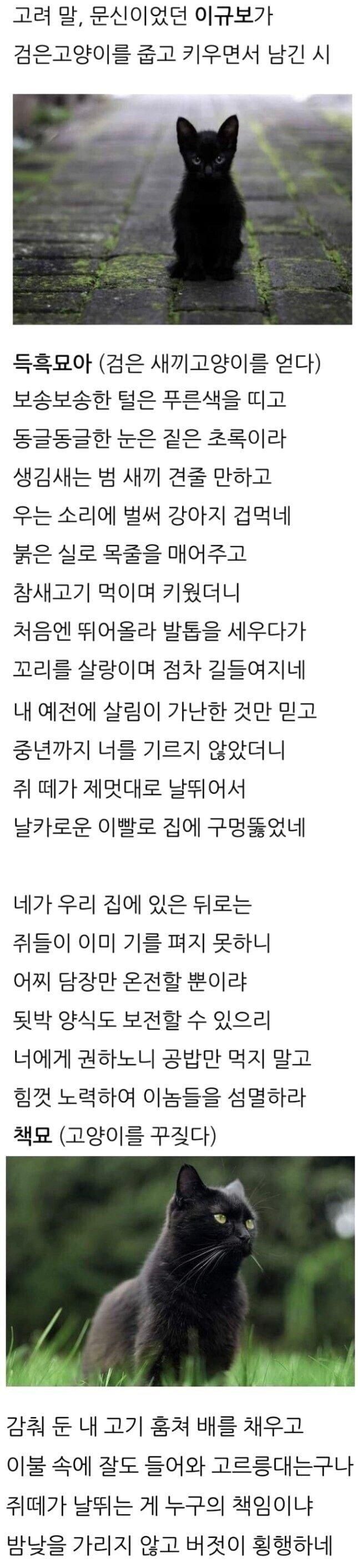 고려시대 냥줍 후기_1.jpg