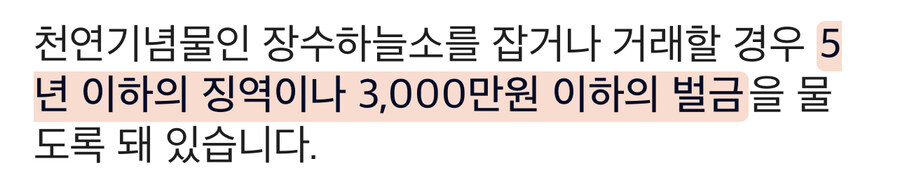 하늘소를 잡았을때 조심해야 하는 이유_2.jpg