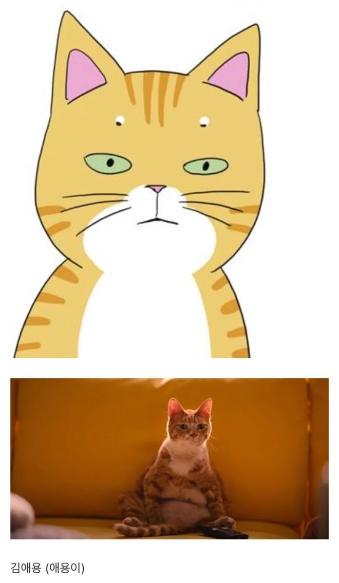 영화