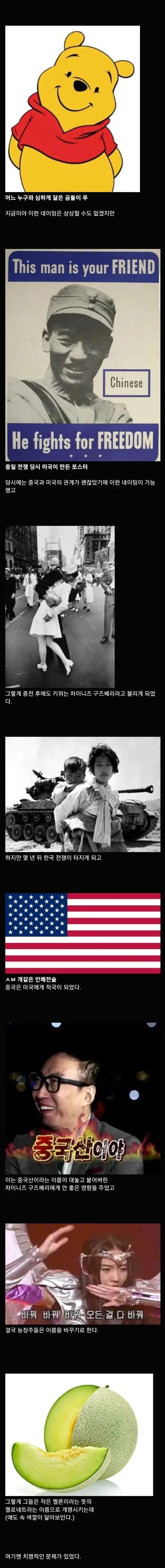 키위라는 과일 이름의 진실 ㅋㅋㅋㅋ_2.jpg