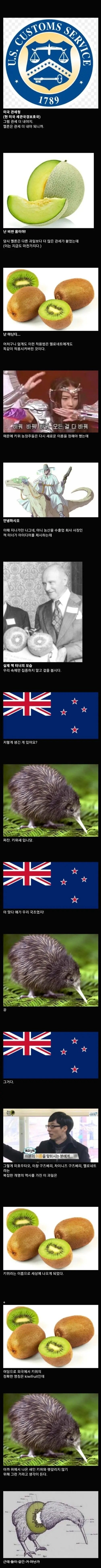 키위라는 과일 이름의 진실 ㅋㅋㅋㅋ_3.jpg