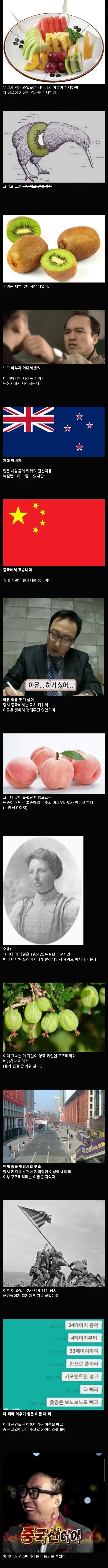 키위라는 과일 이름의 진실 ㅋㅋㅋㅋ_1.jpg