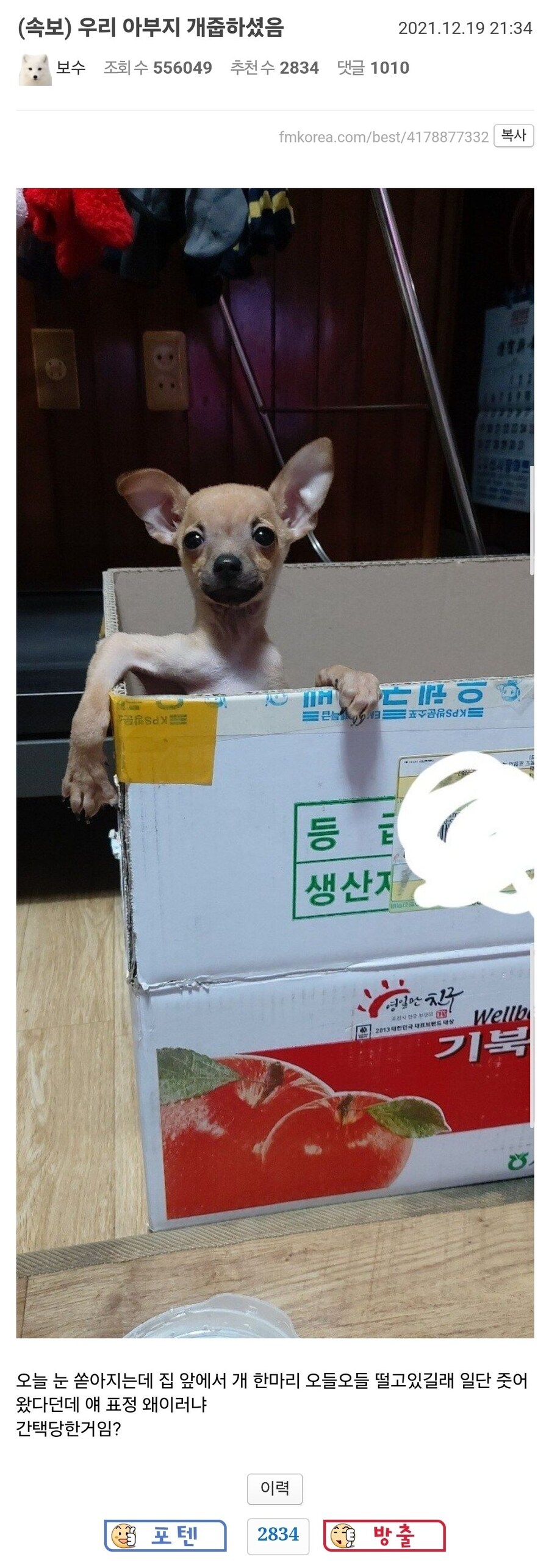 아버지가 개를 주워 오셨는데..._1.png