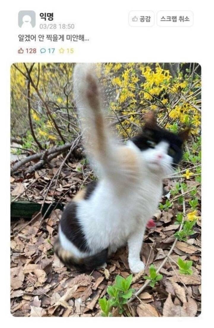 알겠어 안찍을게 미안해_1.jpg