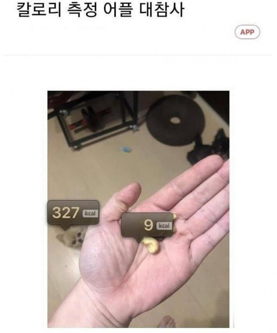 오류 난 칼로리 측정 어플.jpg_1.jpg