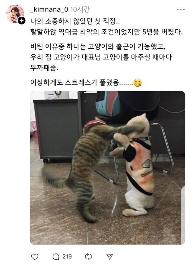 고양이가 사료값 하는경우.jpg_1.jpg