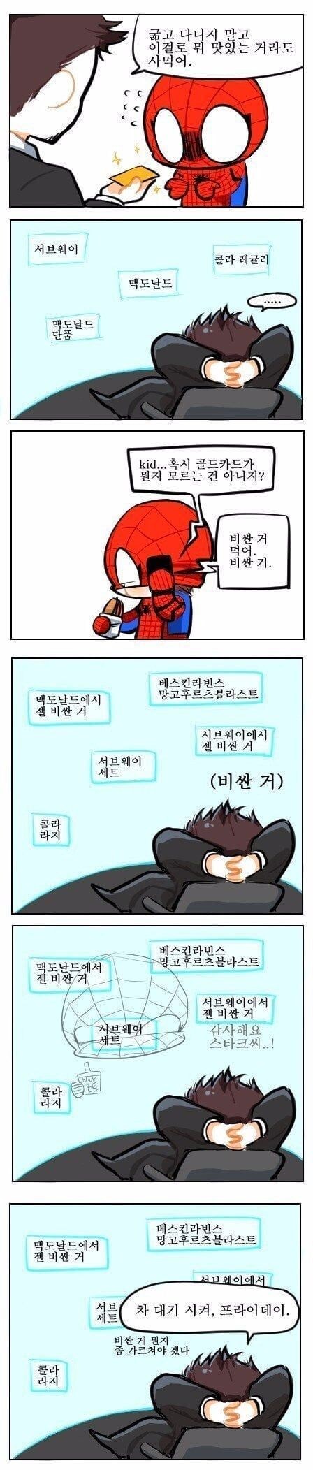 토니스타크의 카드로 흥정망청쓰는스파이더맨_3.jpg