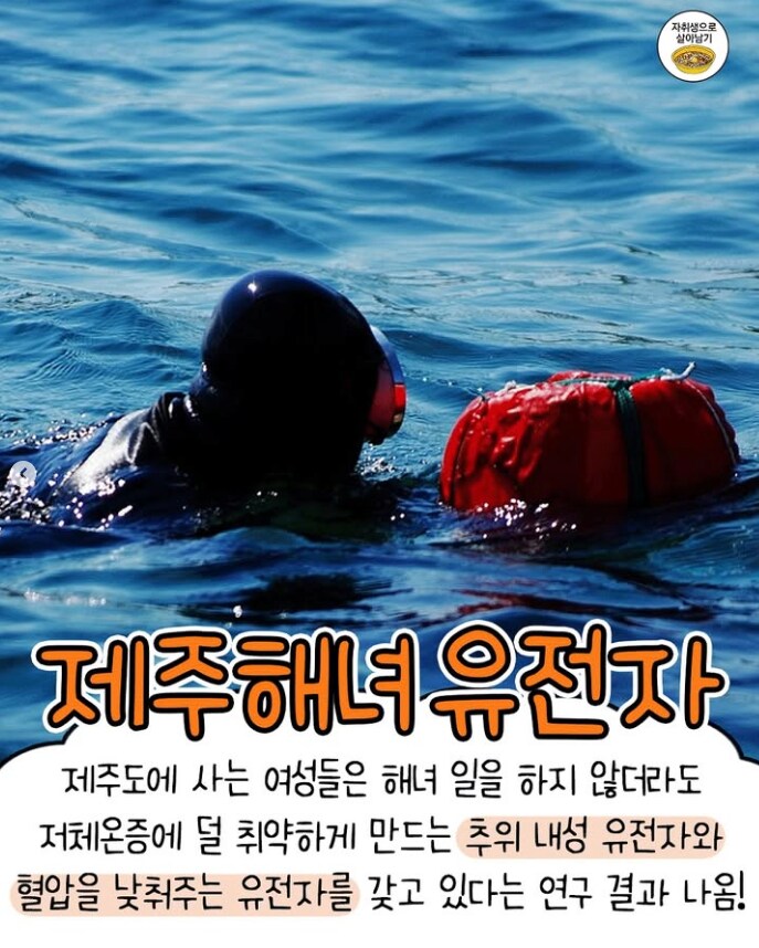 실제로 존재하는 신기한 유전자 모음.jpg_6.png