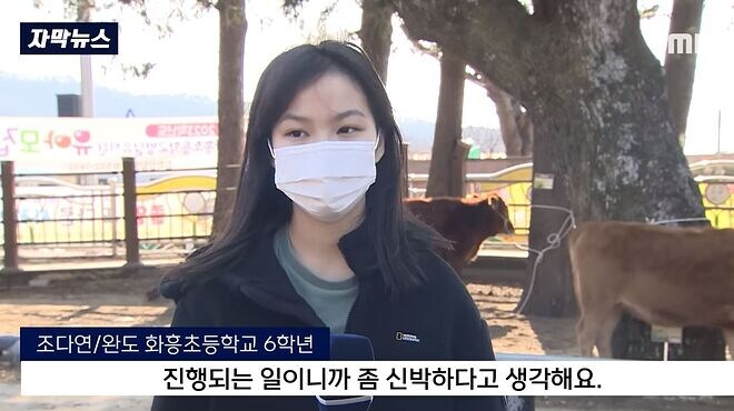 이제는 거의 걍 표준어 느낌으로 자리 잡은 신조어_2.jpg