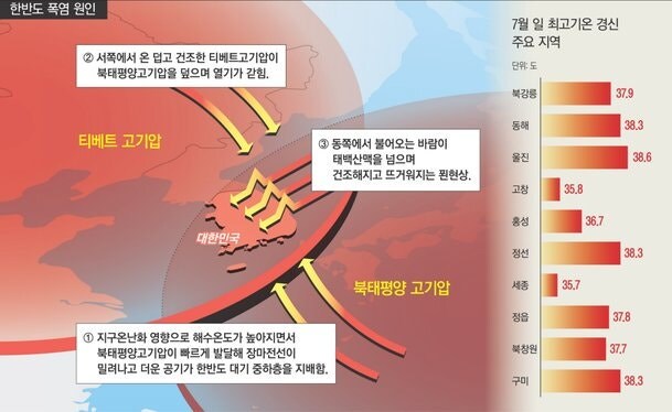 진짜 폭염은 중복과 말복부터_1.jpg