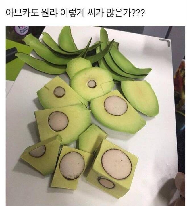 의외로 씨가 되게 많은 과일_1.jpg
