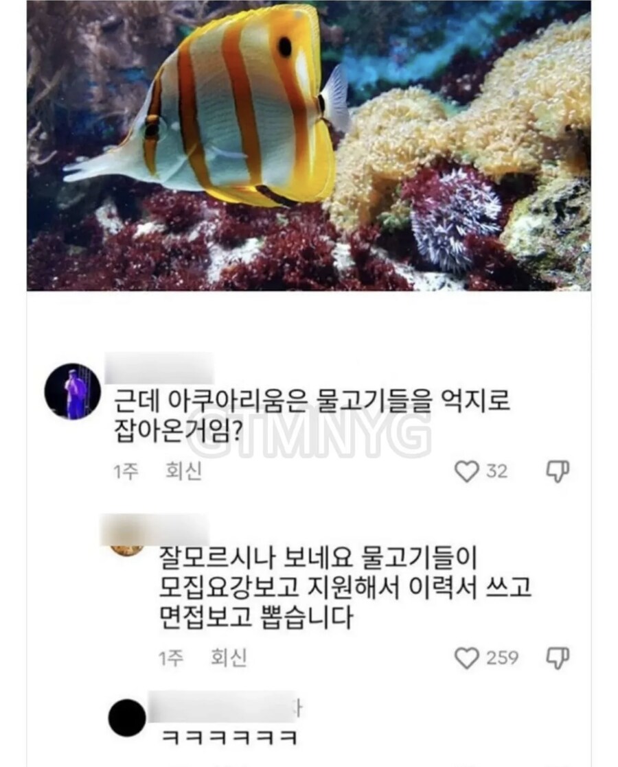 사실 아쿠아리움 물고기들은_1.jpg