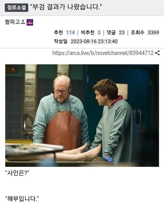 부검 결과가 나왔습니다._1.webp