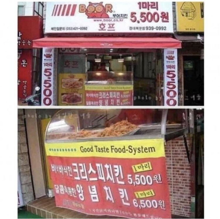 부어 치킨 리즈 시절.jpg_1.jpg