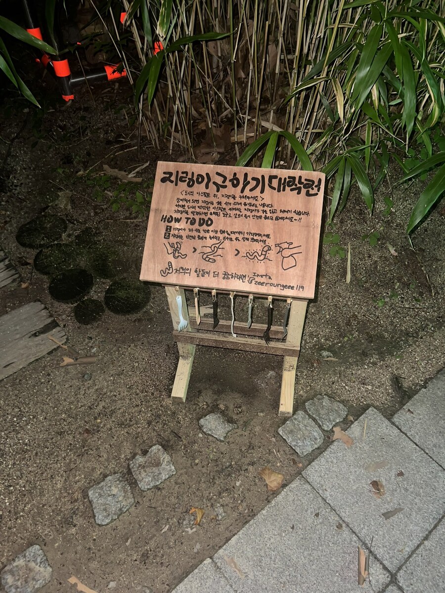 지렁이구하기대작전_1.jpg