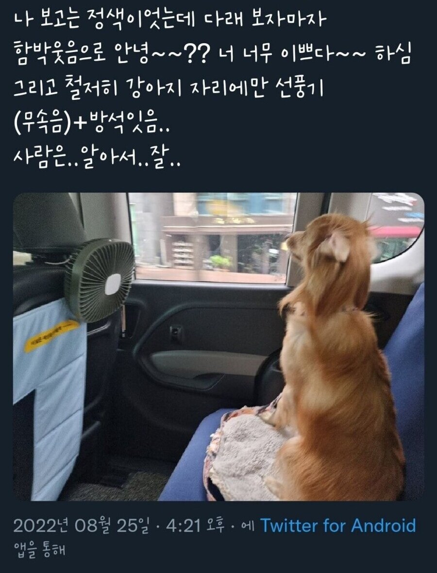 펫 택시를 탔다 차별을 느낀 사람_1.jpg