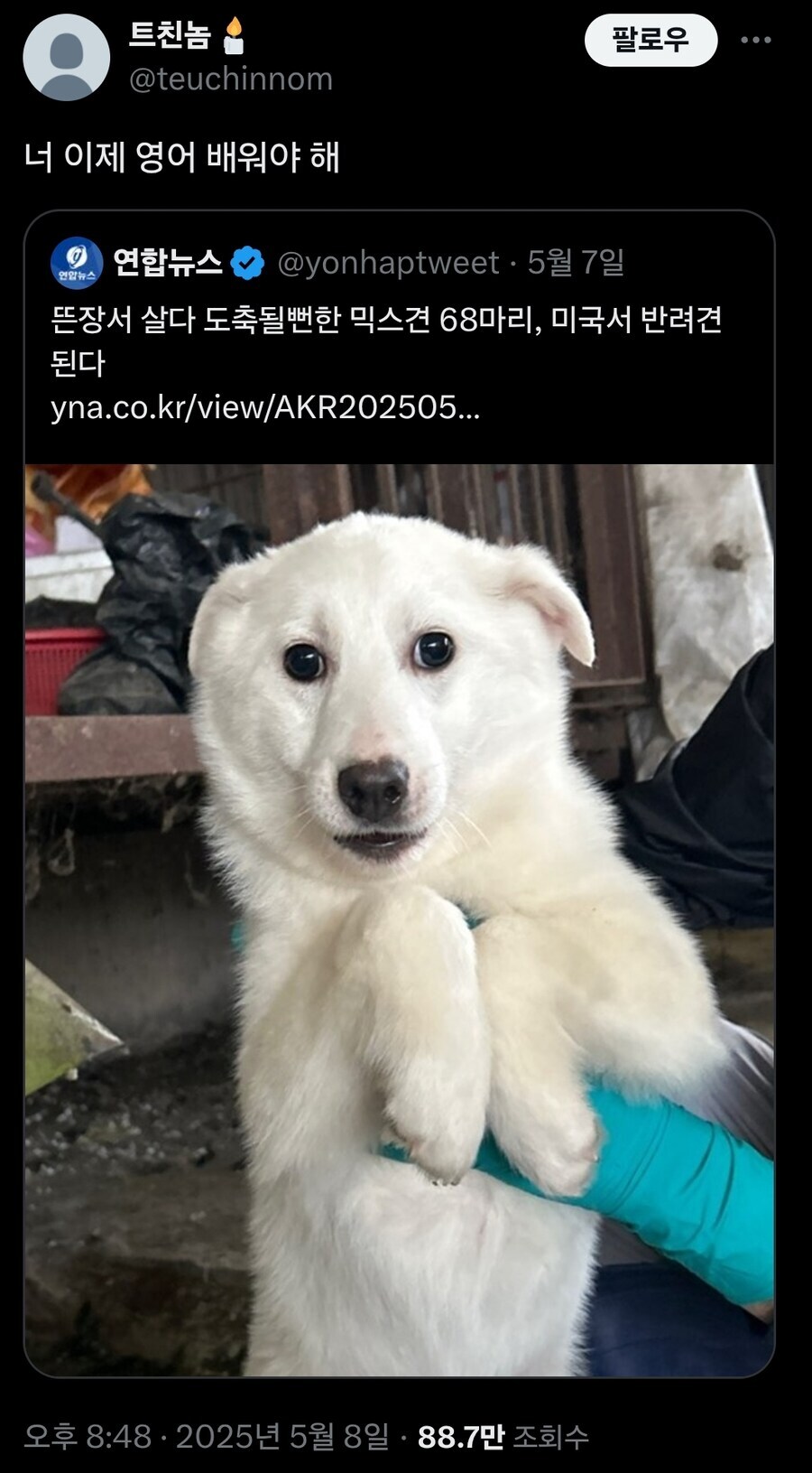 대뎃⋯와따시가⋯ 영어를⋯??.jpg_1.jpg