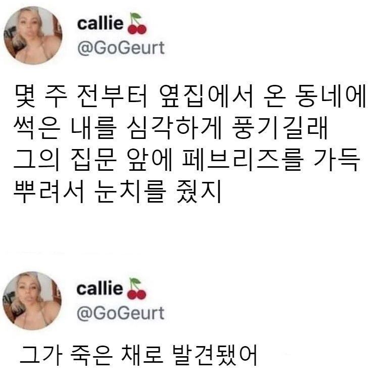 옆집 악취가 너무 심해 페브리즈로 눈치를 줬다_1.jpg