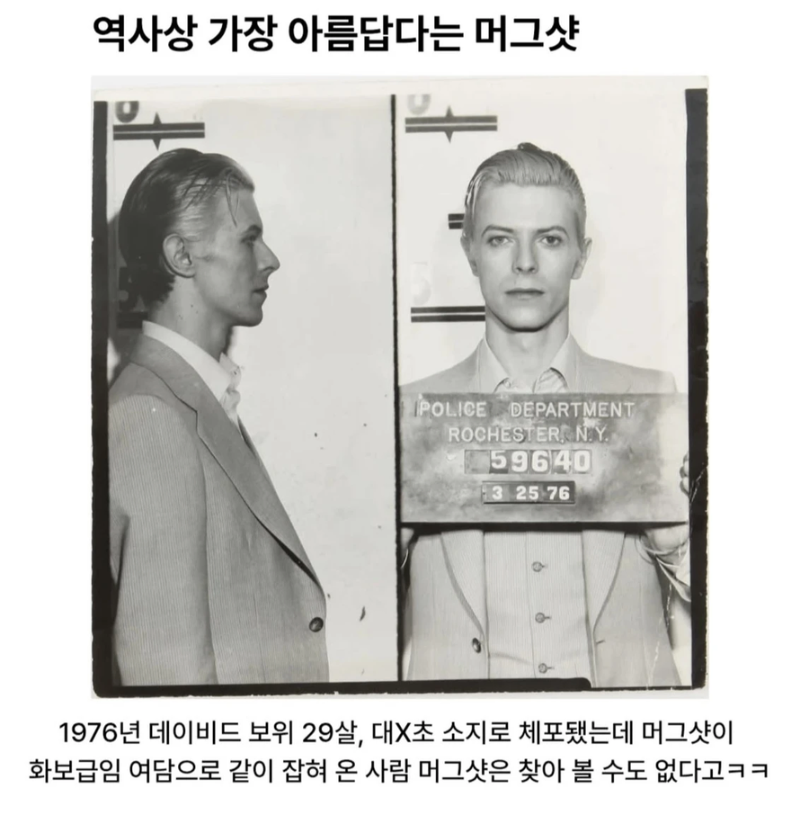 역사상 가장 아름답다는 머그샷...jpg_1.webp
