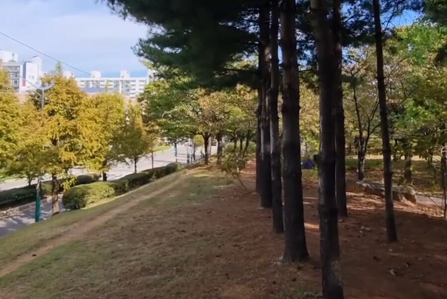 재개발 전 과 후_8.png