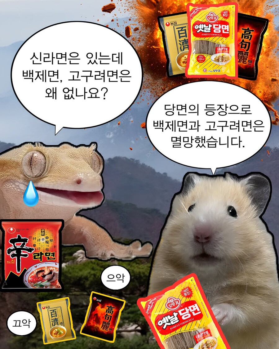 백제면과 고구려면이 없는 이유_1.jpg