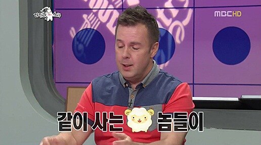 같이 사는 양놈들이_1.jpg