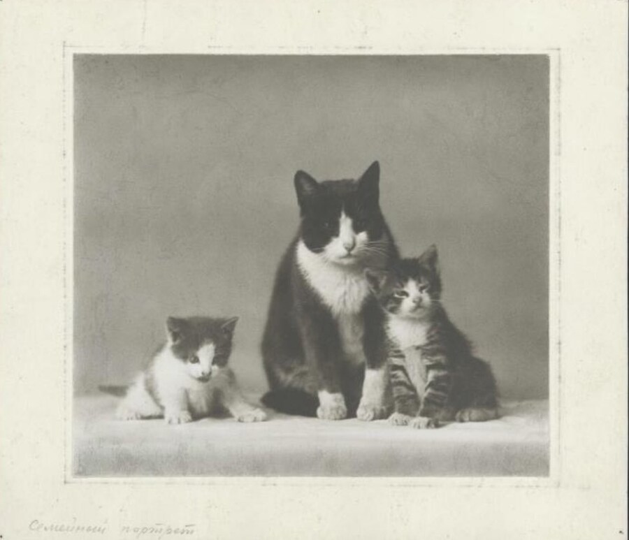 1920년대 가족 사진.jpg_1.jpg