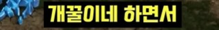 스타하는데 랜덤인 상대가 나보고 랜덤이냐고 물음_17.png