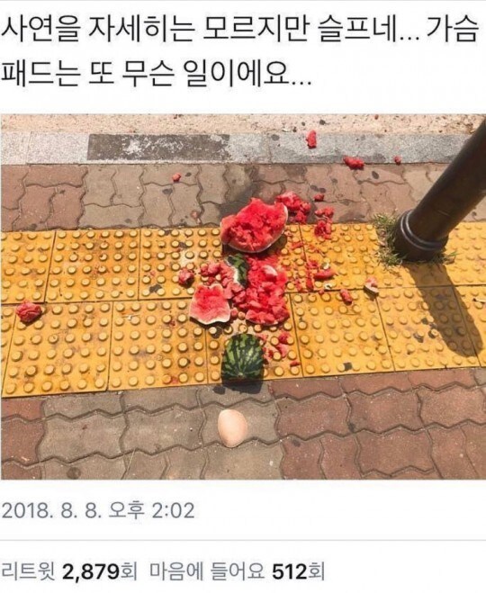 우와 ㄷㄷㄷ 이게 슴가야 수박이야???_2.jpg