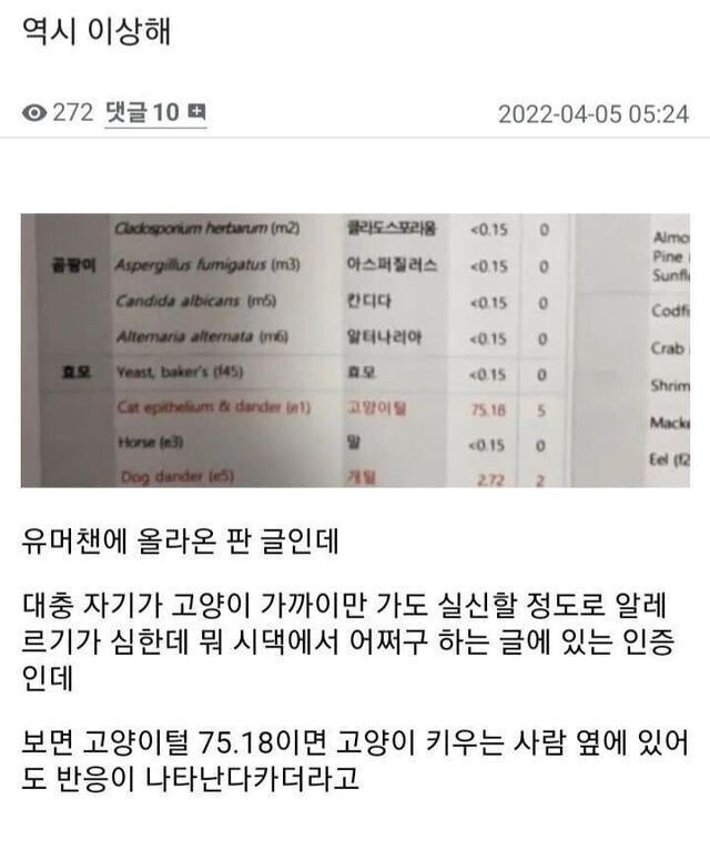 알레르기 검사 했는데 뭔가 이상하다.jpg_1.jpg