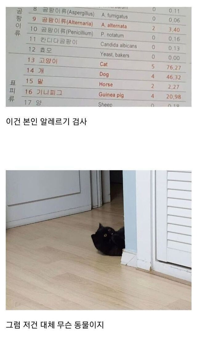 알레르기 검사 했는데 뭔가 이상하다.jpg_2.jpg