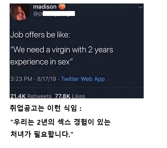 취업 공고는 처녀비치와 같다._1.png