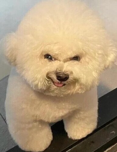 일뽕들이 조선에 대해 가장 오해하는 거_1.png
