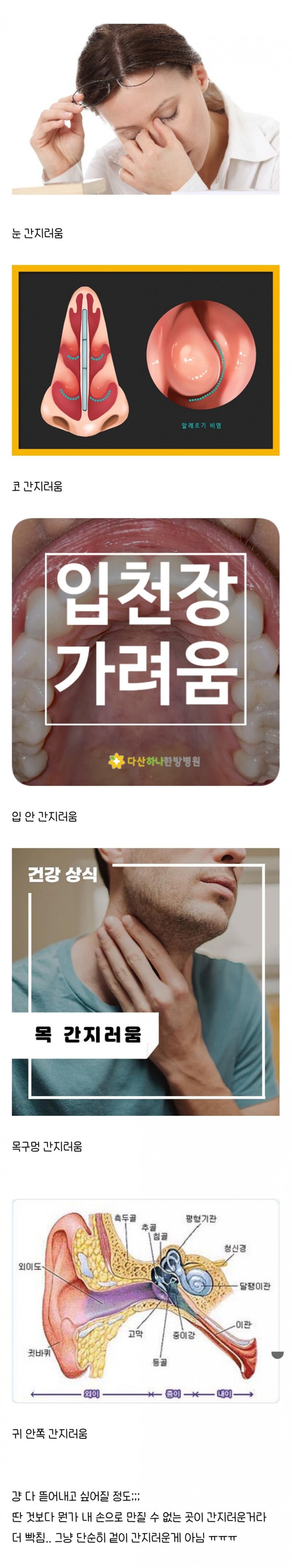 비염 환자들의 고통.jpg_1.jpg