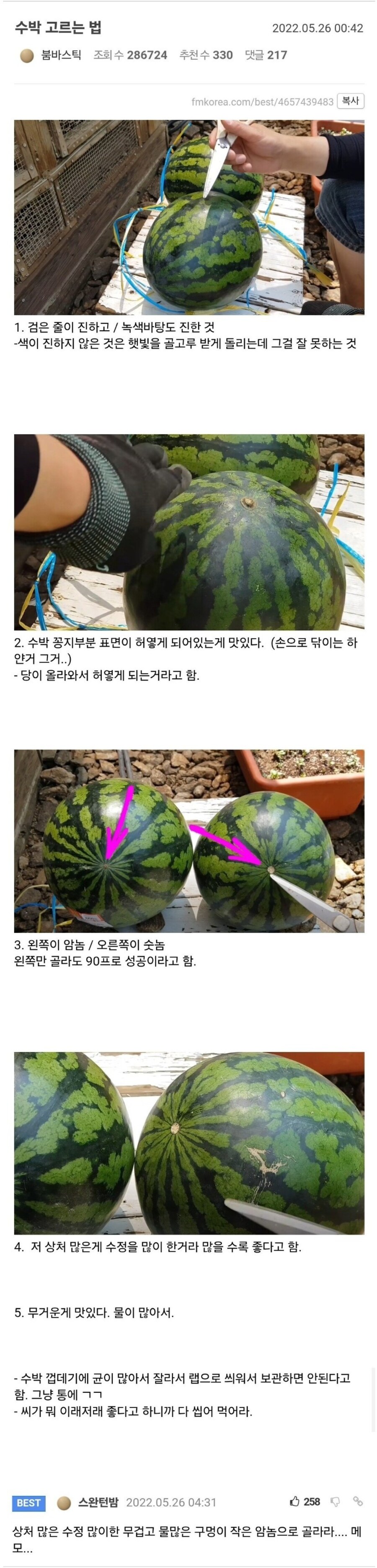 여름철 맛있는 수박 고르는 방법.jpg_1.jpg