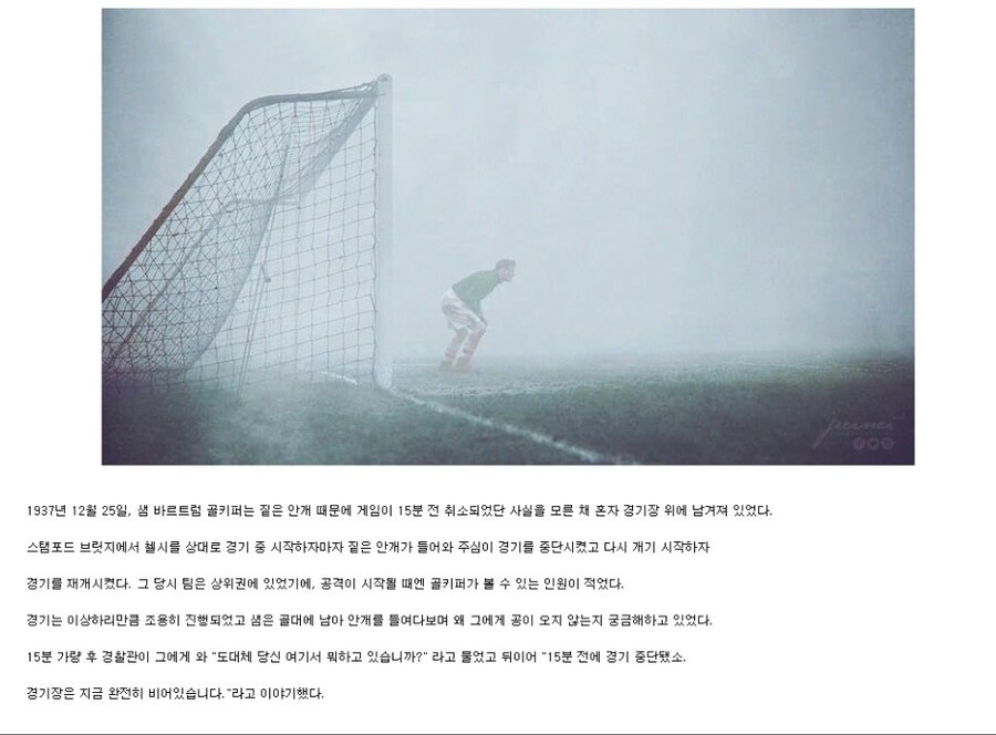 외로운 싸움 레전드.jpg_1.jpg