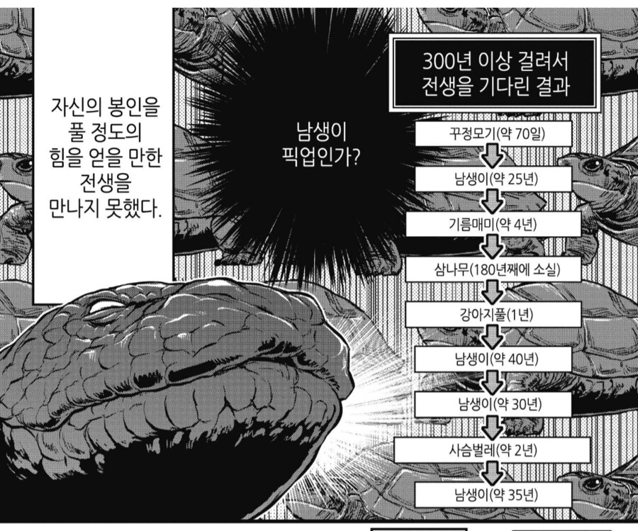 재앙신이 전생을 노렸는데 실패한 이유_3.png