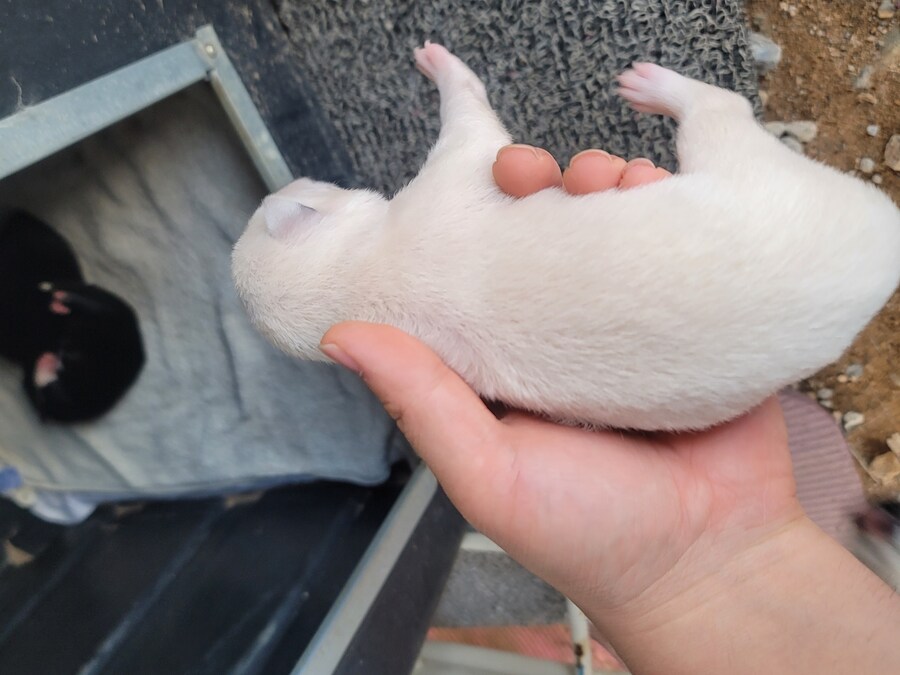 의외로 생각보다 따끈 따끈 한 것 jpg_1.jpg