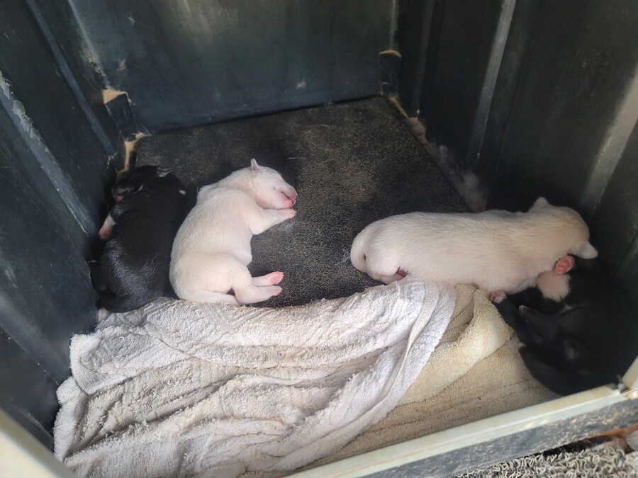 의외로 생각보다 따끈 따끈 한 것 jpg_2.jpg
