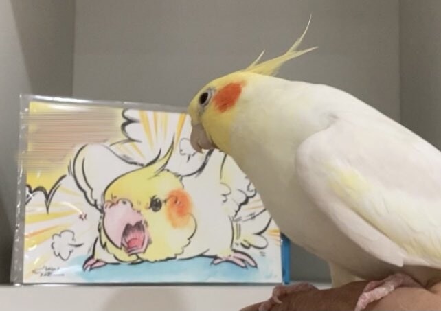 고레가 와따시?_2.jpg
